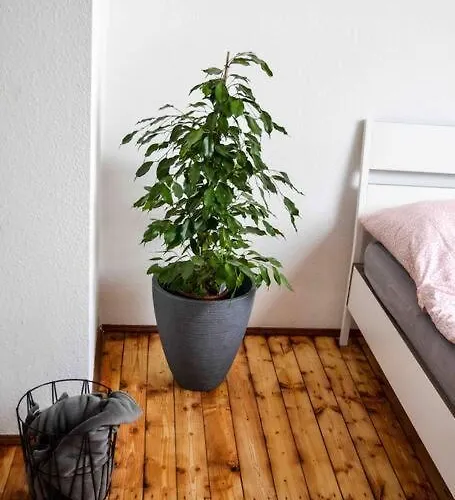 Daire Schoene Dachgeschosswohnung Nahe *