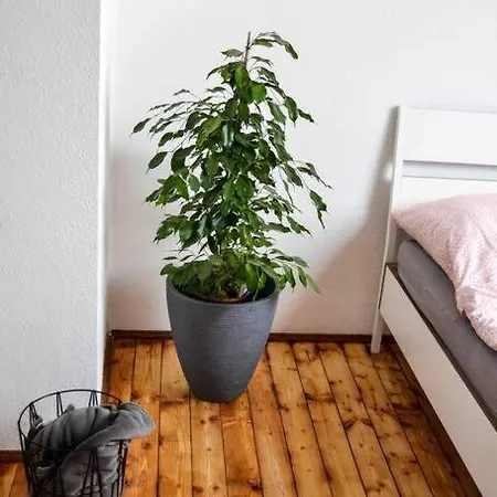 דירה Schoene Dachgeschosswohnung Nahe *